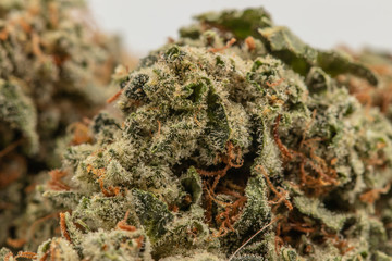 cannabis macro