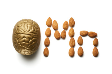 Brain and almond nuts isolated on white. Top view