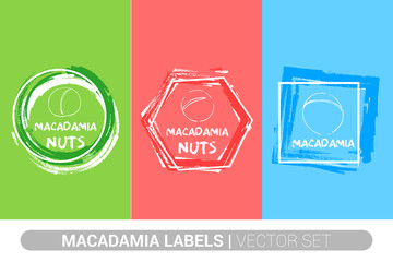 Macadamia nuts colorful label set. Raw organic nuts Badge shapes. Creative Nut tags. Raw food stickers ready for web and print. Painting brush style labels. Brush stroke badges.
