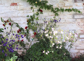 Brick Wall With Flowers Attached