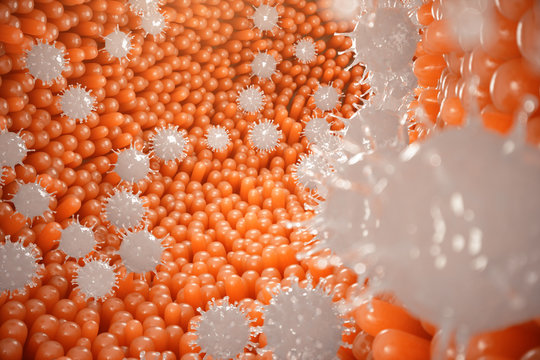 Intestinal villi, mucosa intestinal. Bacteria and microbes in intestines. Microscopic villi and capillary. Human intestine, chronic disease. Hepatitis viruses, influenza, cell infections, 3D Rendering