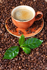Coffee cup with fresh leaves