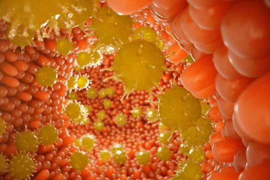 Intestinal villi, mucosa intestinal. Bacteria and microbes in intestines. Microscopic villi and capillary. Human intestine, chronic disease. Hepatitis viruses, influenza, cell infections, 3D Rendering