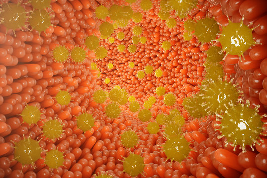 Intestinal villi, mucosa intestinal. Bacteria and microbes in intestines. Microscopic villi and capillary. Human intestine, chronic disease. Hepatitis viruses, influenza, cell infections, 3D Rendering