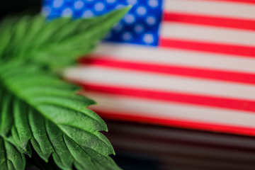 Medical Cannabis Leaf USA - green fresh marijuana leaf and American USA flag on the black mirroring background.