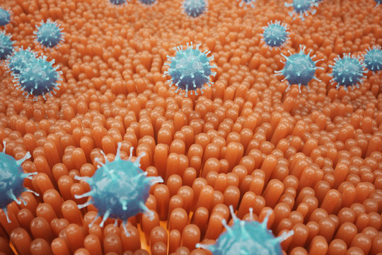 Intestinal villi, mucosa intestinal. Bacteria and microbes in intestines. Microscopic villi and capillary. Human intestine, chronic disease. Hepatitis viruses, influenza, cell infections, 3D Rendering