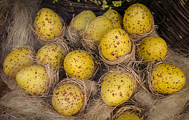 Huevos de codorniz