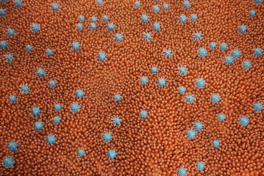 Intestinal villi, mucosa intestinal. Bacteria and microbes in intestines. Microscopic villi and capillary. Human intestine, chronic disease. Hepatitis viruses, influenza, cell infections, 3D Rendering