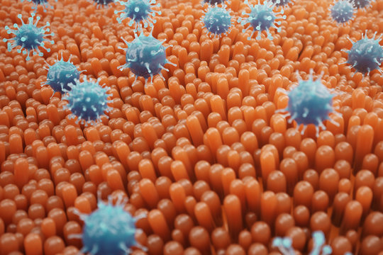 Intestinal villi, mucosa intestinal. Bacteria and microbes in intestines. Microscopic villi and capillary. Human intestine, chronic disease. Hepatitis viruses, influenza, cell infections, 3D Rendering