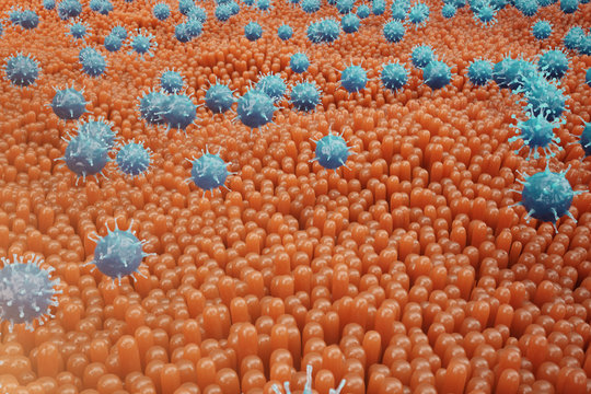 Intestinal villi, mucosa intestinal. Bacteria and microbes in intestines. Microscopic villi and capillary. Human intestine, chronic disease. Hepatitis viruses, influenza, cell infections, 3D Rendering