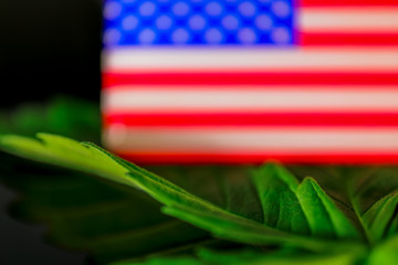 Medical Cannabis Leaf USA - green fresh marijuana leaf and American USA flag on the black mirroring background.
