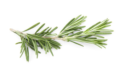 Fototapeta premium Fresh green rosemary twig on white background, top view