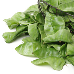 Hyacinth bean on white background 