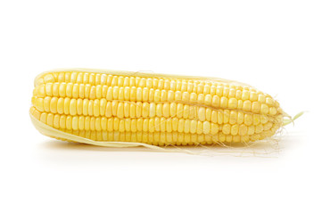 Corn on white background 
