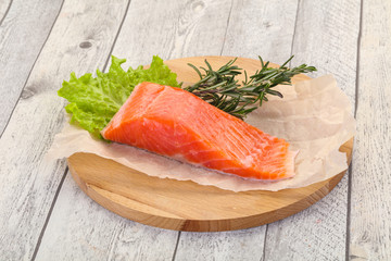 Piece of raw salmon