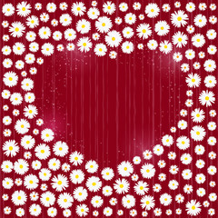 Heart Valentines day card. White daisies on red background. Wedding invitation card template, Love concept. Festive poster for 14 February. Vector illustration.