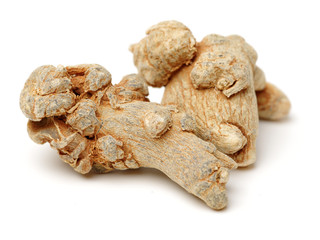 Notoginseng, Chinese traditional medicine on white background