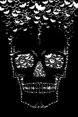 Skull - bats illustration