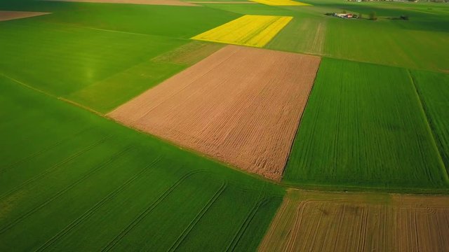 Beautiful spring fields with blooming rape. 4k AERIAL video.