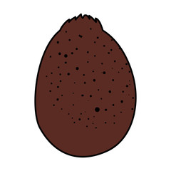 fresh kiwi exotic fruit