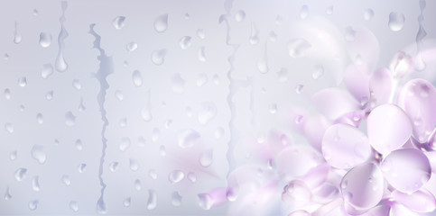Floral spring background with purple lilac flowers