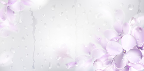 Floral spring background with purple lilac flowers