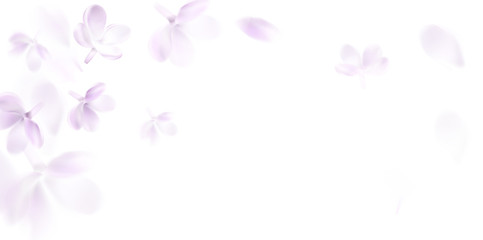 Naklejka na ściany i meble Floral spring background with purple lilac flowers