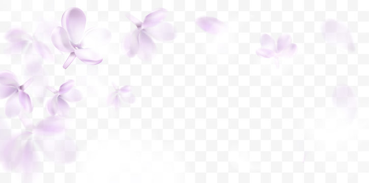 Flower Transparent Background Images – Browse 241,973 Stock Photos,  Vectors, and Video | Adobe Stock