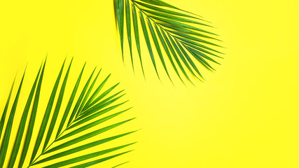 Tropical green palm leaves on yellow background. Minimal nature summer concept. Top view, flat lay, copy space.