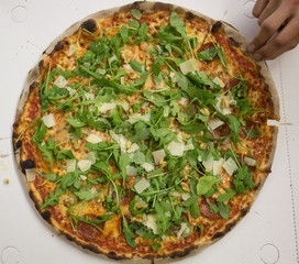 Pizza vegetariana