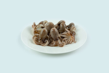 수산물 쭈꾸미