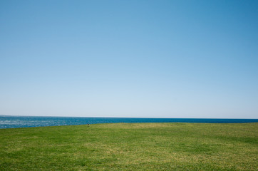 green grass and sky, beach