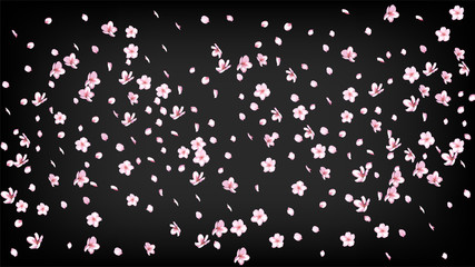 Nice Sakura Blossom Isolated Vector. Tender Flying 3d Petals Wedding Texture. Japanese Style Flowers Illustration. Valentine, Mother's Day Pastel Nice Sakura Blossom Isolated on Black