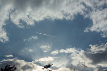 Fototapeta na wymiar the plane among the clouds