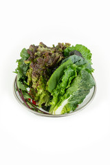 맛있는 쌈채소,신선한 유기농 식물