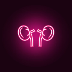 Human Organ Kidney Lineneon icon. Elements of body parts set. Simple icon for websites, web design, mobile app, info graphics