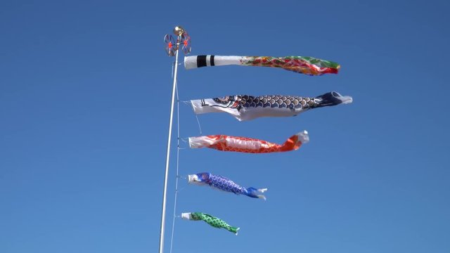 気持ちよさそうに青空を泳ぐ鯉のぼり