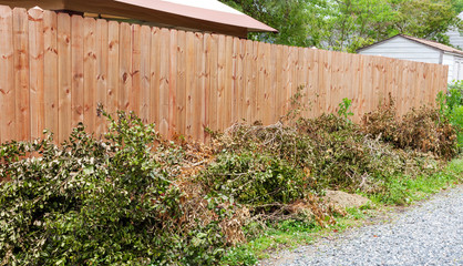 Spring cleanup branch clippings stacked against new fence.