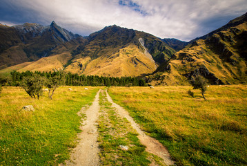 Hiking trail in Wanaka New Zealand