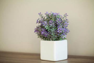 Spa. Succulent plant on window ledge in modern bathroom