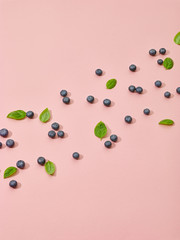 blueberries and green basil leaves
