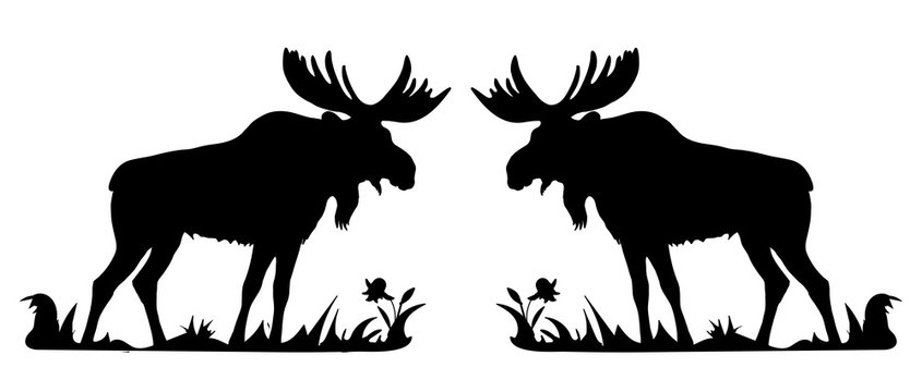 black silhouette of one moose standing in the grass on a white background