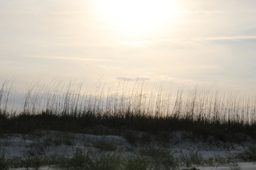 Fototapeta premium Sun over the sea