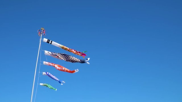 気持ちよさそうに青空を泳ぐ鯉のぼり