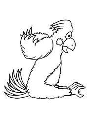papagei vogel vögelchen cartoon comic cool lustig süß niedlich gemalt clipart design huhn hahn fliegen flügel federn
