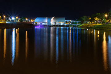 the bridge at night