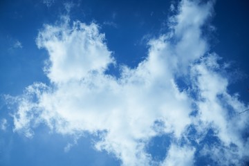 Fototapeta premium blue sky with white clouds