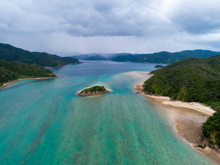 海