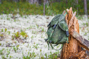 Small green backpack hangs on broken, rotting stump in summer pine forest.
