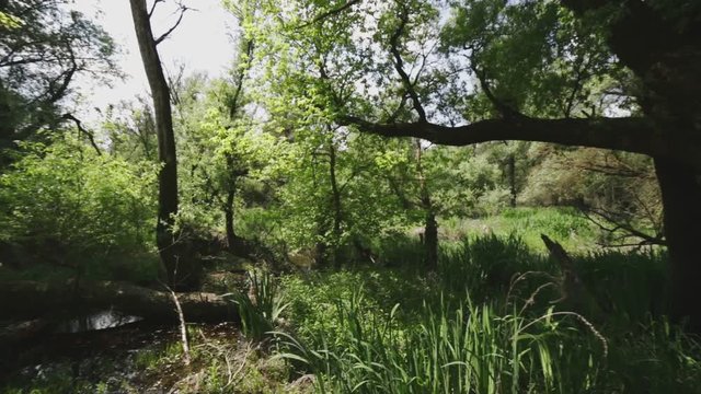 Wider panoramic view from an abandoned nature trail place and its environment.